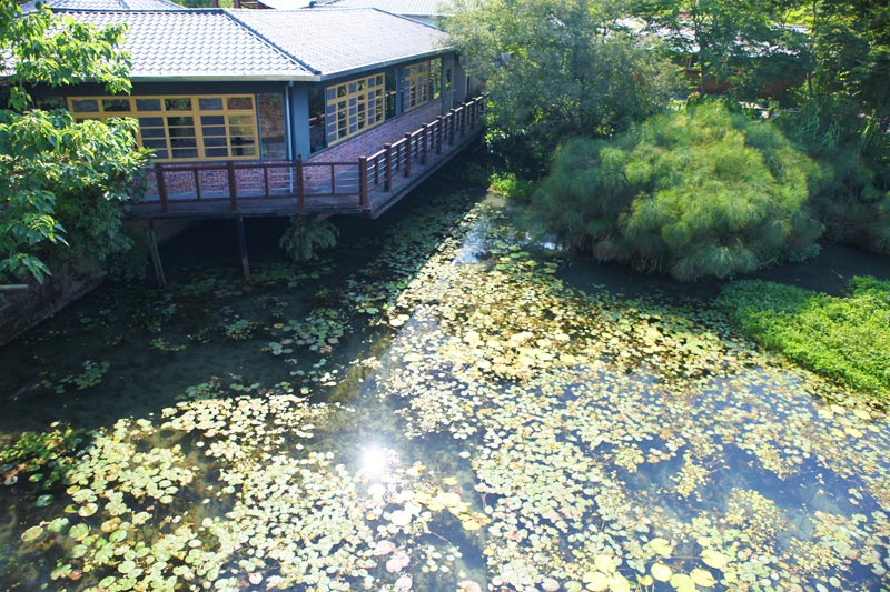 4.生態環境保育部門